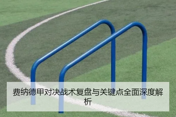 费纳德甲对决战术复盘与关键点全面深度解析